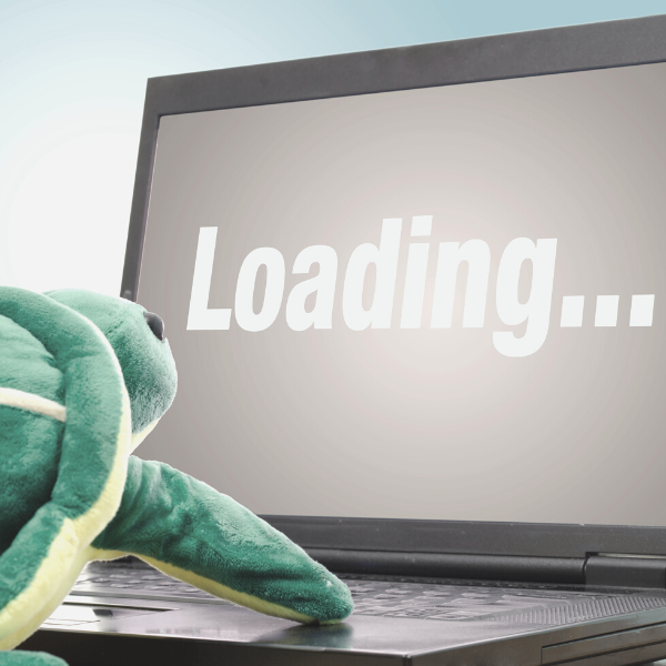 laptop loading with a turtle looking at the screen
